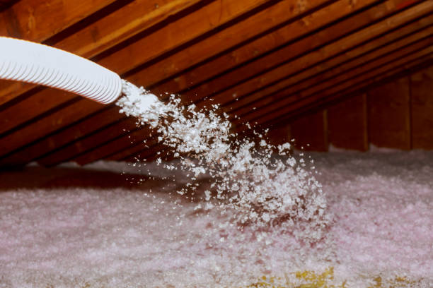 Professional Insulation Contractor in MS