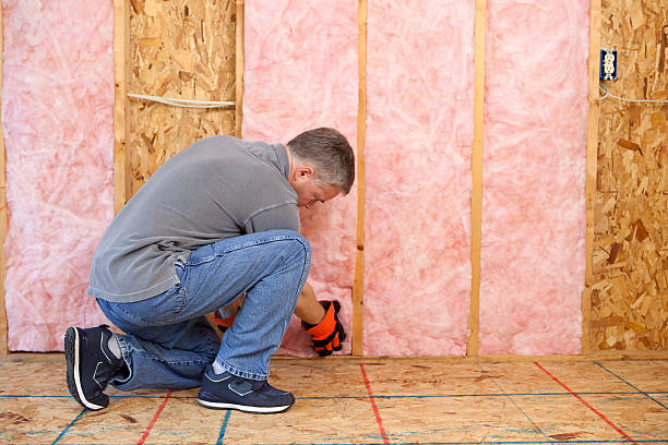 Best Residential Insulation in Cleary, MS